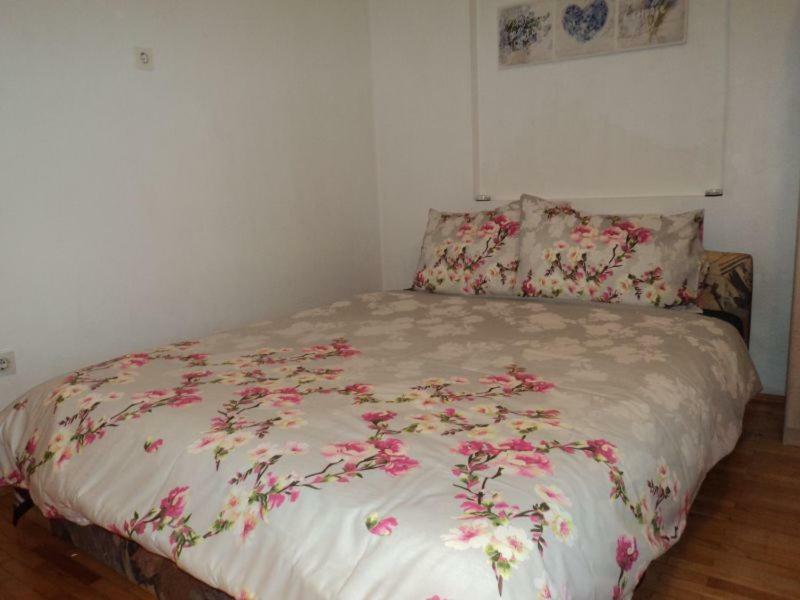 Studio Apartments Ana Rovinj Kültér fotó